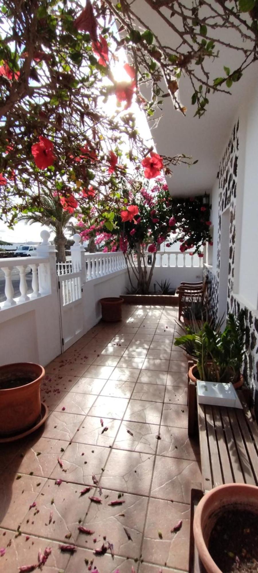 Villa Casa M & A La Oliva Exterior foto